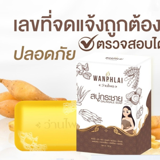 泰國 Wanphlai 草本香皂 100 G
